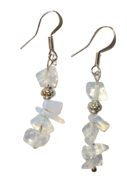 Dscn3609 removebg preview