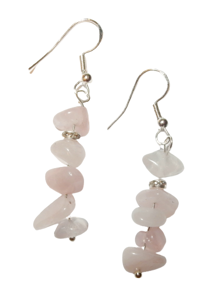 Dscn3611 removebg preview