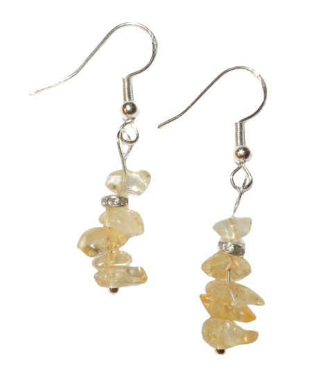 Dscn3614 removebg preview