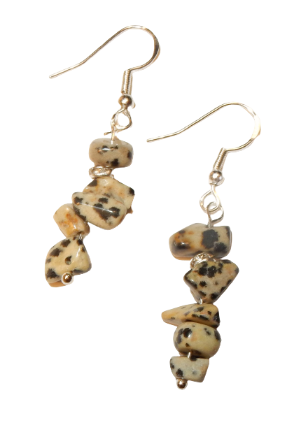 Dscn3619 removebg preview