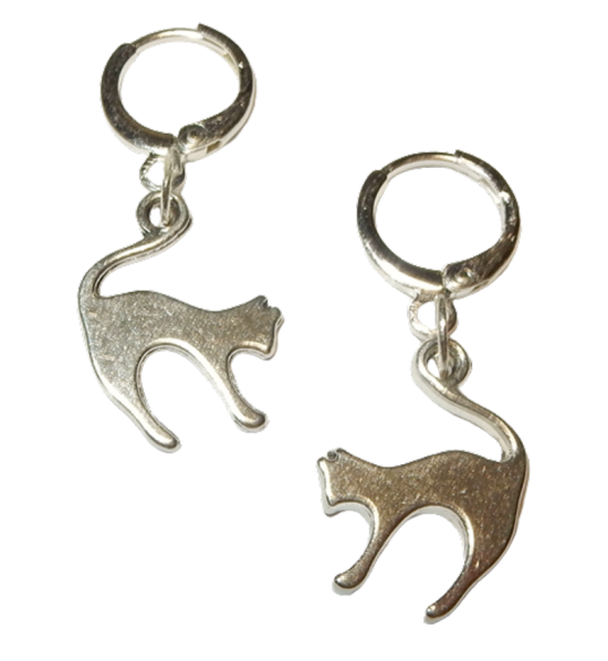 Dscn3694 removebg preview