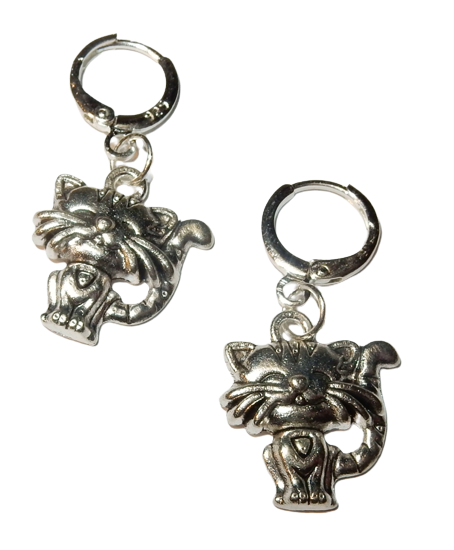 Dscn3699 removebg preview