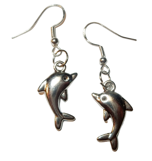 Dscn3704 removebg preview