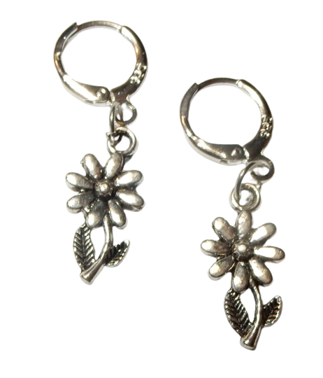 Dscn3727 removebg preview