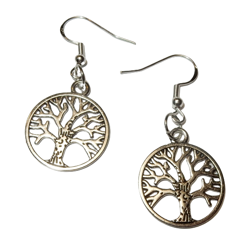 Dscn3729 removebg preview