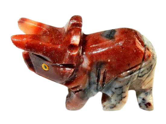 Dscn8405m removebg preview