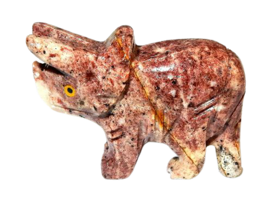 Dscn8406m removebg preview   kopie