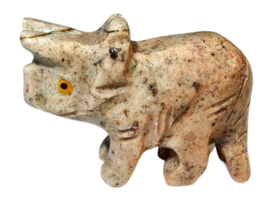 Dscn8407m removebg preview