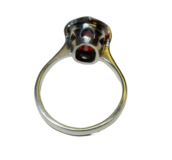 Dscn9299 photoroompng photoroom 1 0