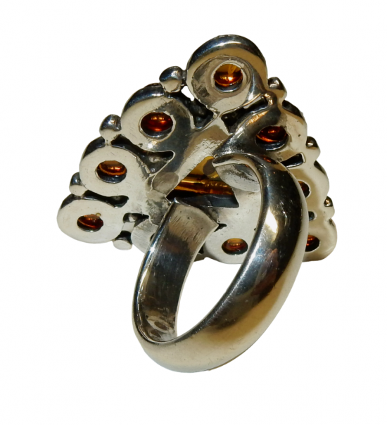 Dscn9359 photoroompng photoroom