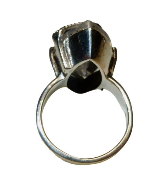 Dscn9372 photoroompng photoroom 0