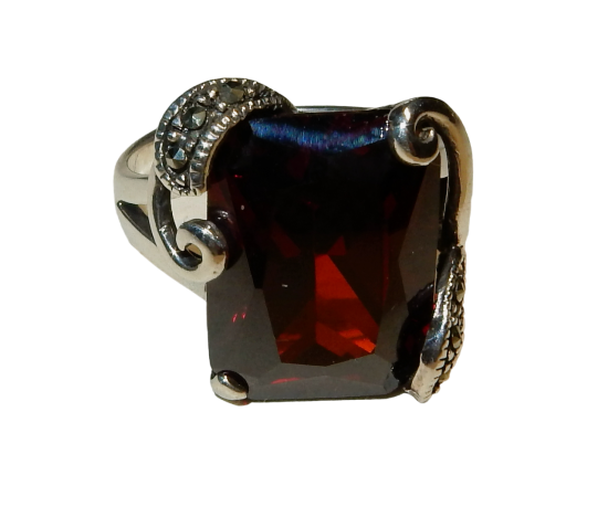 Dscn9379 photoroompng photoroom