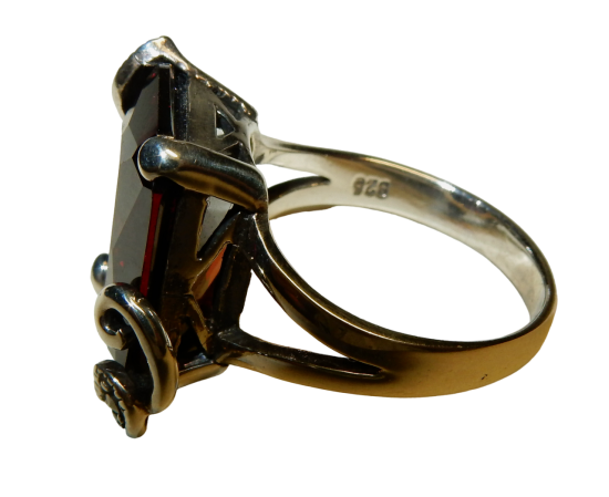 Dscn9381 photoroompng photoroom