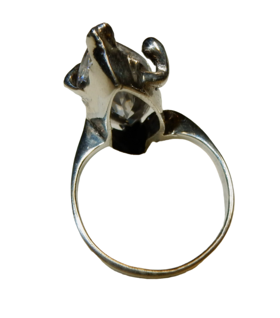 Dscn9405 photoroompng photoroom 0