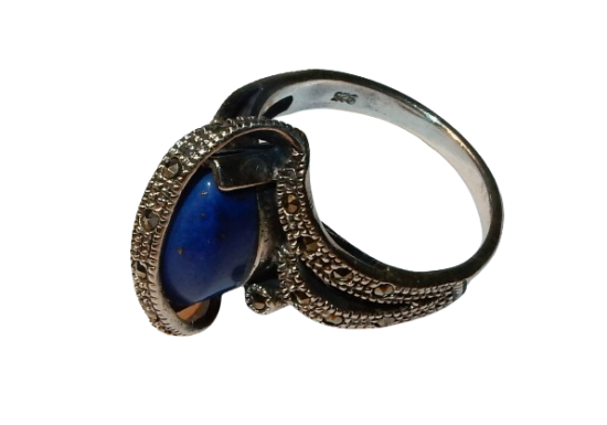 Dscn9493 removebg preview