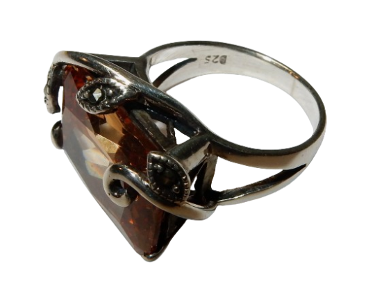 Dscn9497 removebg preview