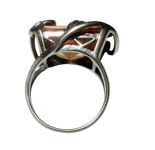 Dscn9498 removebg preview