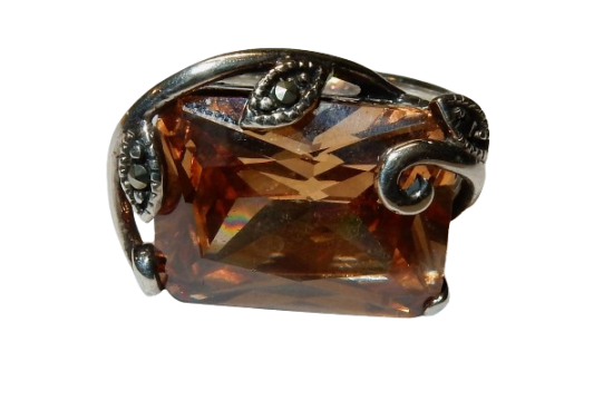 Dscn9499 removebg preview