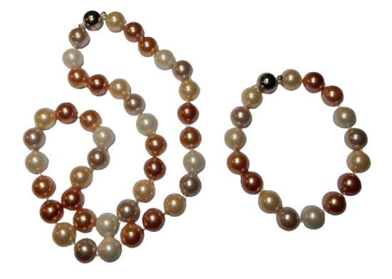 Dscn9524 removebg preview 0