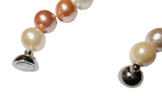 Dscn9525 removebg preview