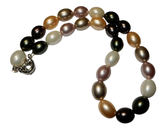 Dscn9527 removebg preview