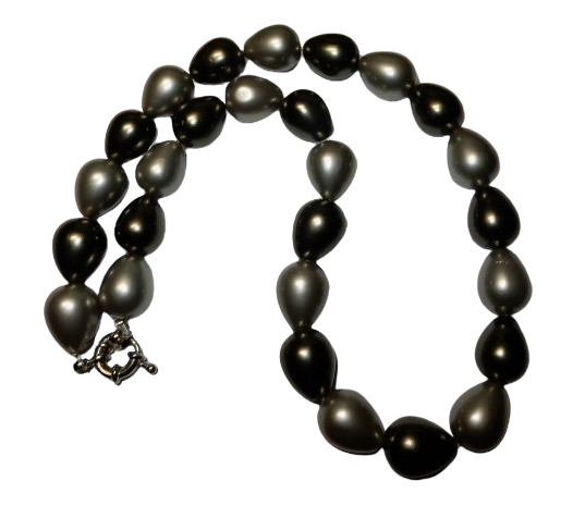 Dscn9528 removebg preview