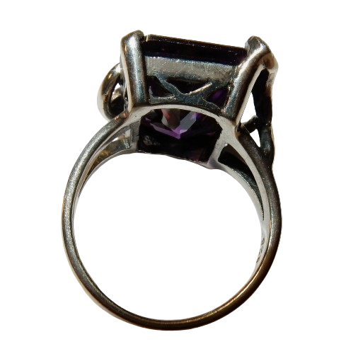 Dscn9545 removebg preview