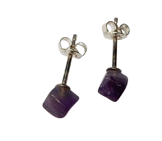 Dscn9551 removebg preview