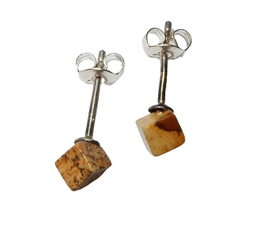 Dscn9552 removebg preview