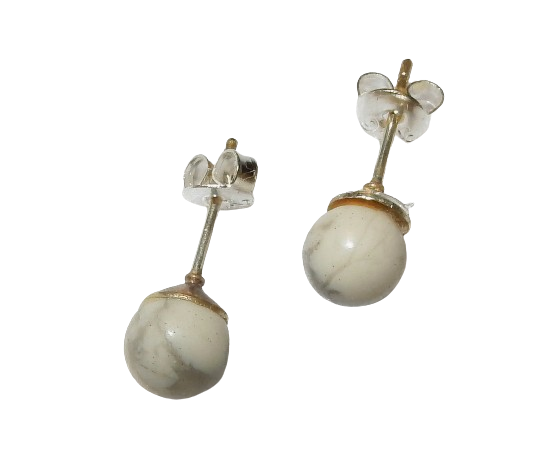 Dscn9560 removebg preview