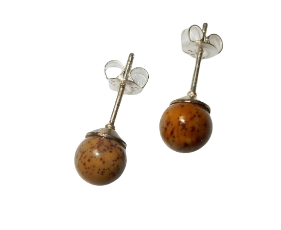 Dscn9565 removebg preview