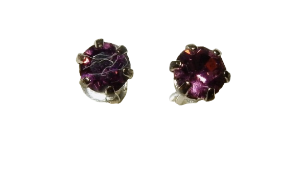 Dscn9599 removebg preview