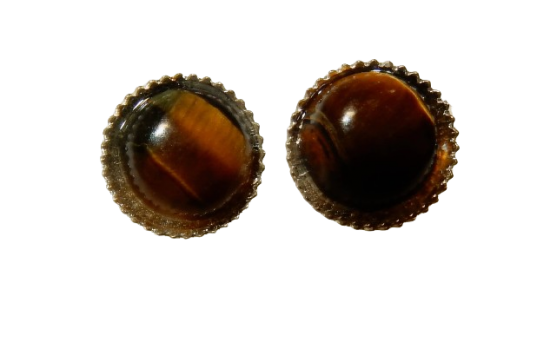 Dscn9606 removebg preview