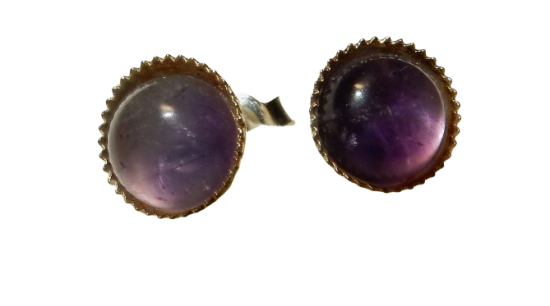 Dscn9608 removebg preview