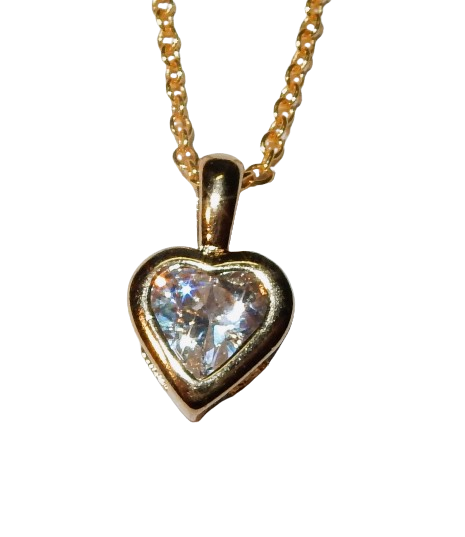 Dscn9618 removebg preview