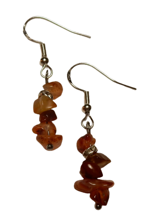 Dscn9837 removebg preview