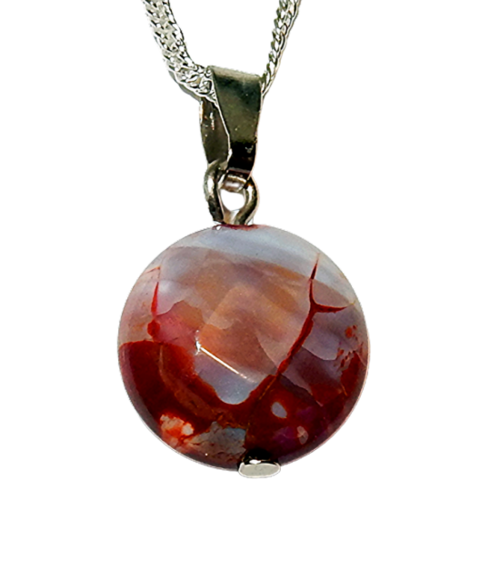 Dscn9961 removebg preview 0