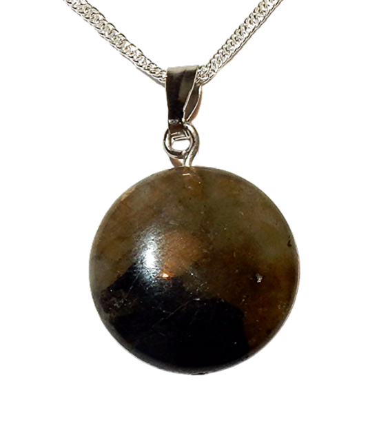 Dscn9963 removebg preview 0