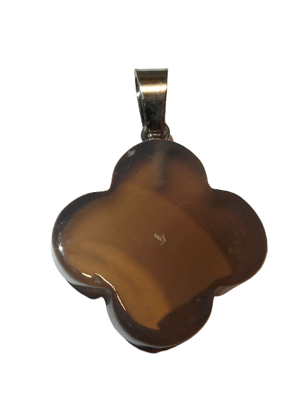 Dscn9975 removebg preview