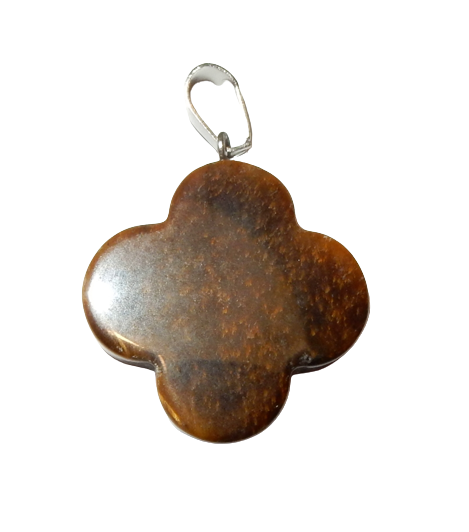 Dscn9977 removebg preview