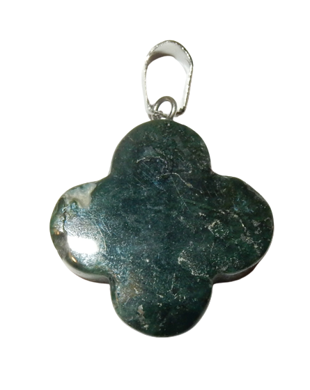 Dscn9979 removebg preview