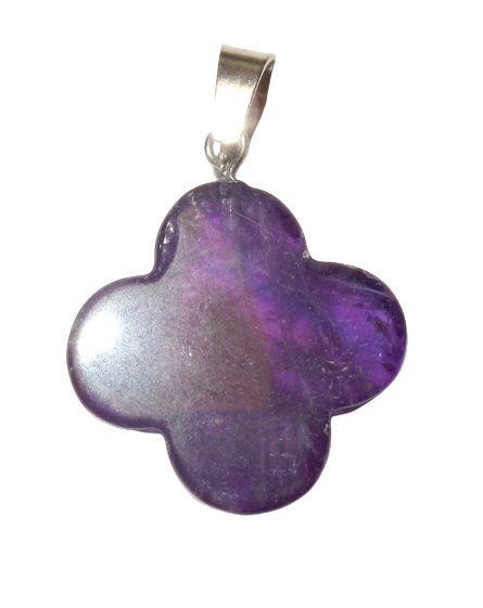 Dscn9981 removebg preview