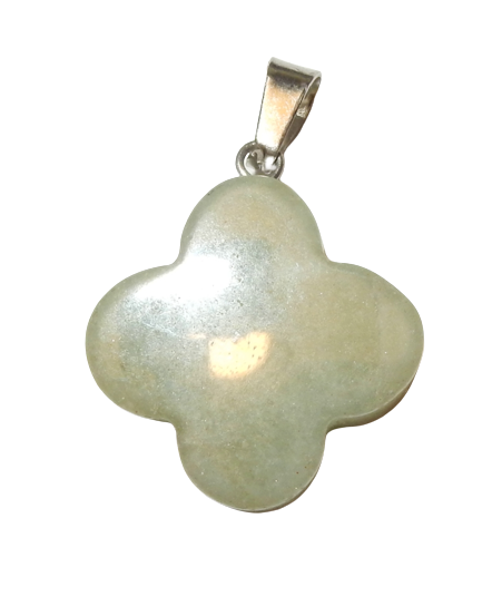 Dscn9982 removebg preview