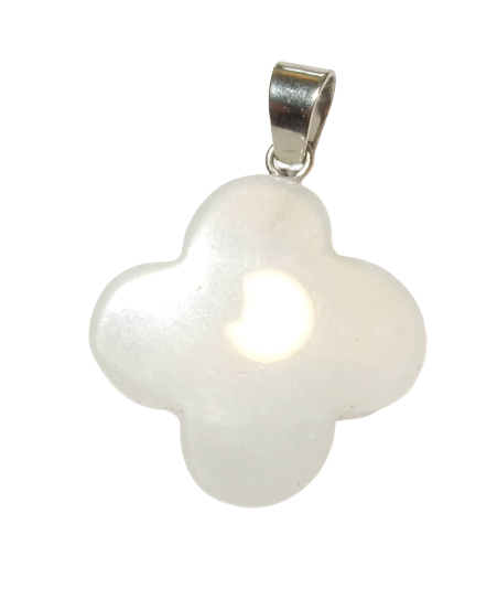 Dscn9983 removebg preview