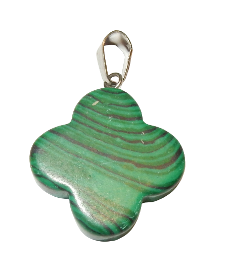 Dscn9985 removebg preview