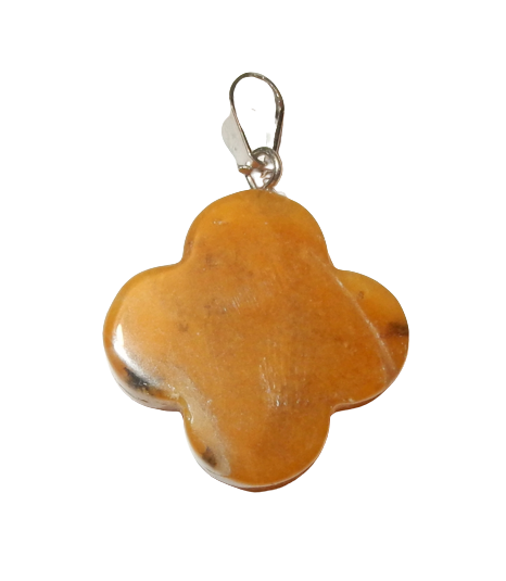 Dscn9987 removebg preview