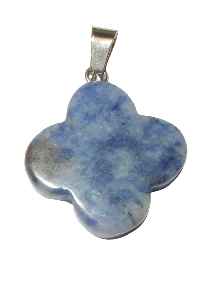 Dscn9995 removebg preview