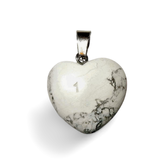 Transparent bg  shadow designify   2021 08 09t081952598