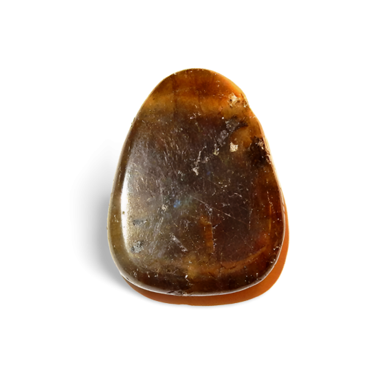 Transparent bg  shadow designify 89