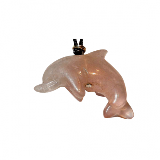 White bg no shadow designify   2021 08 24t125037096 0